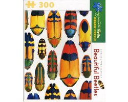 Beautiful Beetles