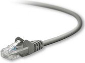 Belkin UTP-kabels CAT5e Patch Cable Snagless Molded