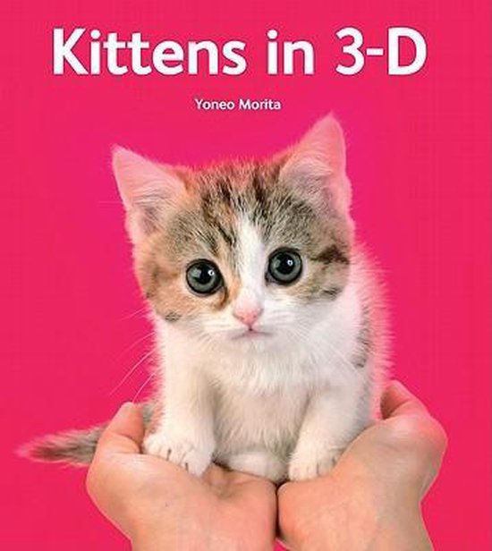 Kittens In 3-D