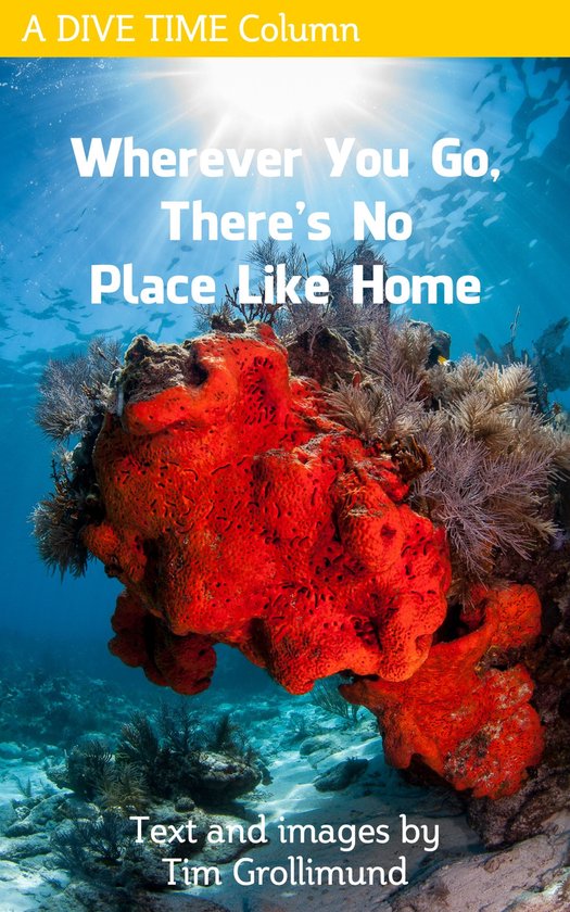 Wherever You Go, There's No Place Like Home - cover