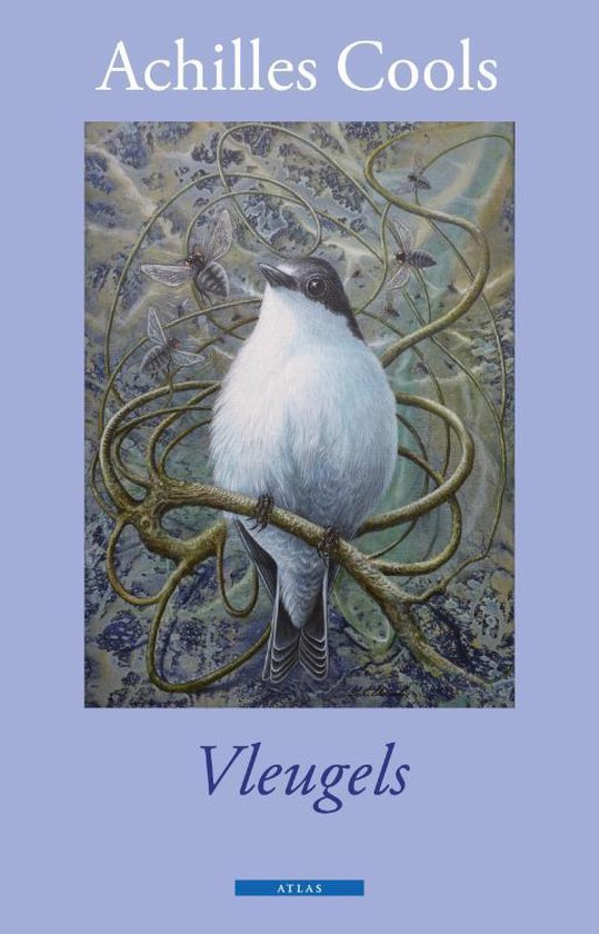 Cover van het boek 'Vleugels' van A. Cools