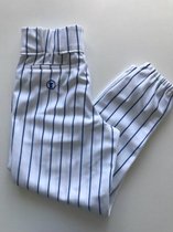 TAG Royal Pinstripe YOUTH Baseball Pants - White/Royal - Youth Medium