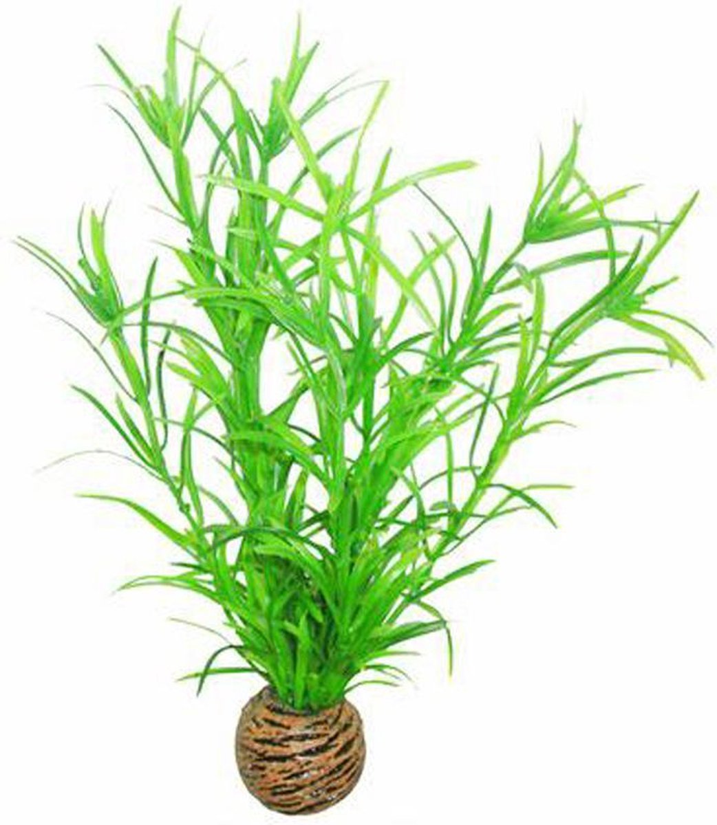 Superfish Easy Plants middel 20 cm - nr 3 thumbnail 2