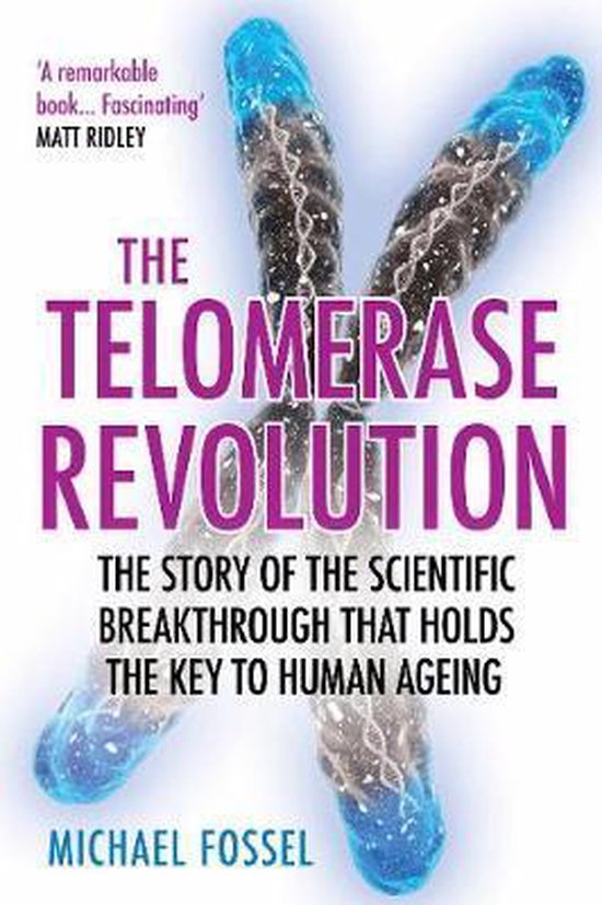 Telomerase