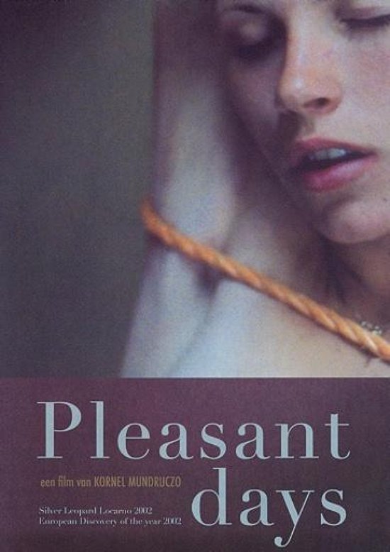 Cover van de film 'Pleasant Days'