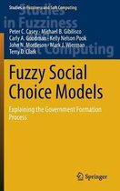 Fuzzy Social Choice Models