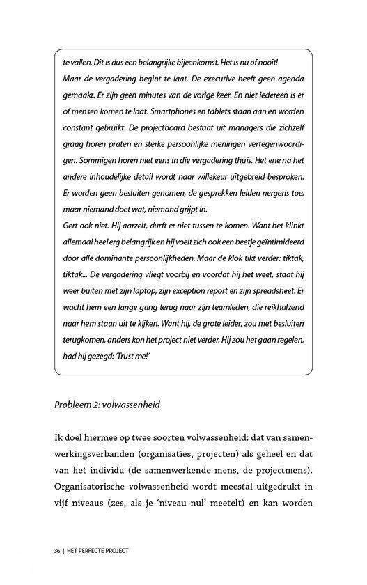 Het perfecte project