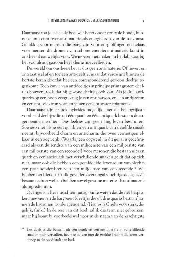 Pagina met tekst, waaronder een tabel met krachten en bosonen.