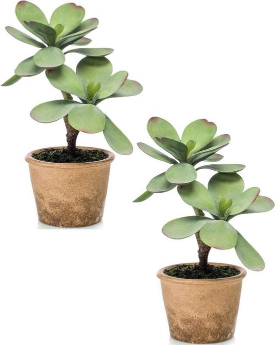 bol.com | 2x Kunstplant groene Kalanchoe vetplant 34 cm - Kamerplant  kunstplanten/nepplanten