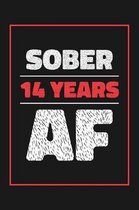 14 Years Sober AF