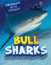 Swimming with Sharks - Bull Sharks