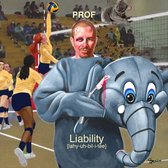 Prof - Liability (CD)