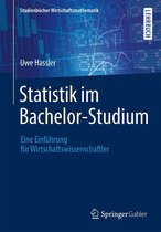 Studienbücher Wirtschaftsmathematik - Statistik im Bachelor-Studium