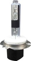 Blanco HID-Xenon lamp H7R 6000K - 1 stuk
