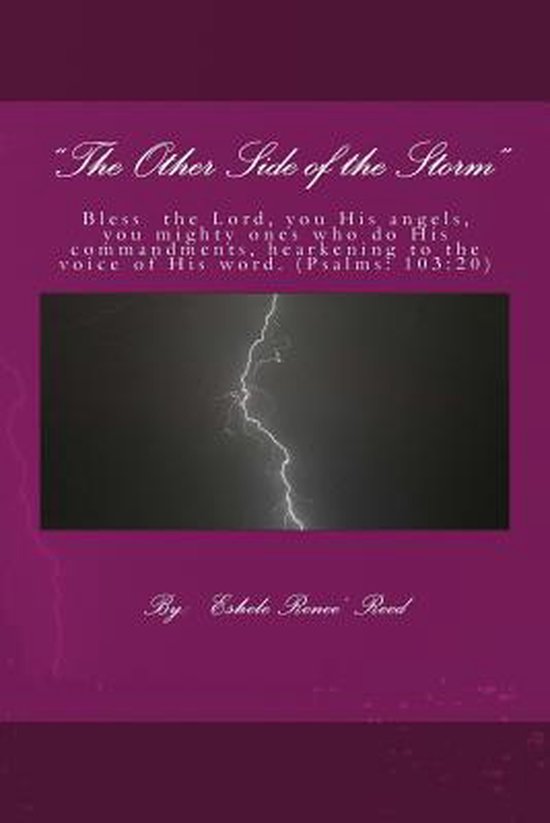 The Other Side of the Storm - cover