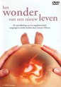Wonder Van Een Nieuw Leven (DVD)