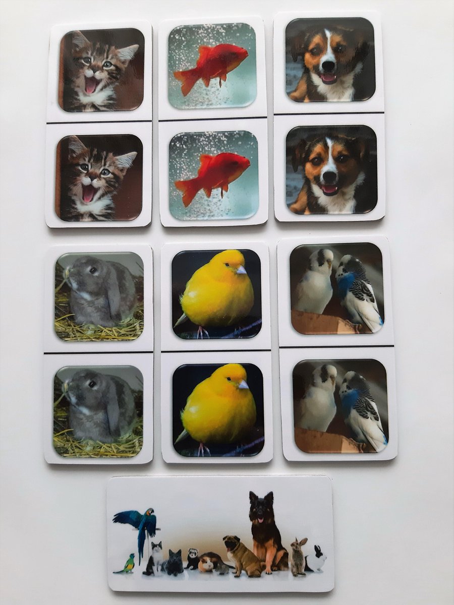 De Spellerie-Speciaal voor mensen met dementie- Fotodomino Huisdieren-geheugen-spel-senioren