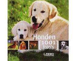 Honden