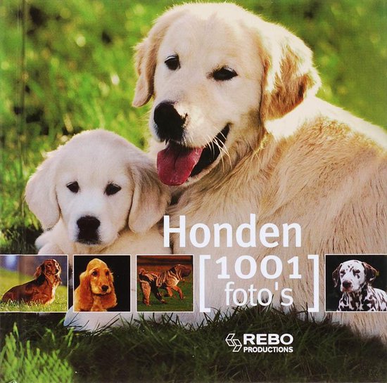 Honden - F. Huart | Respetofundacion.org