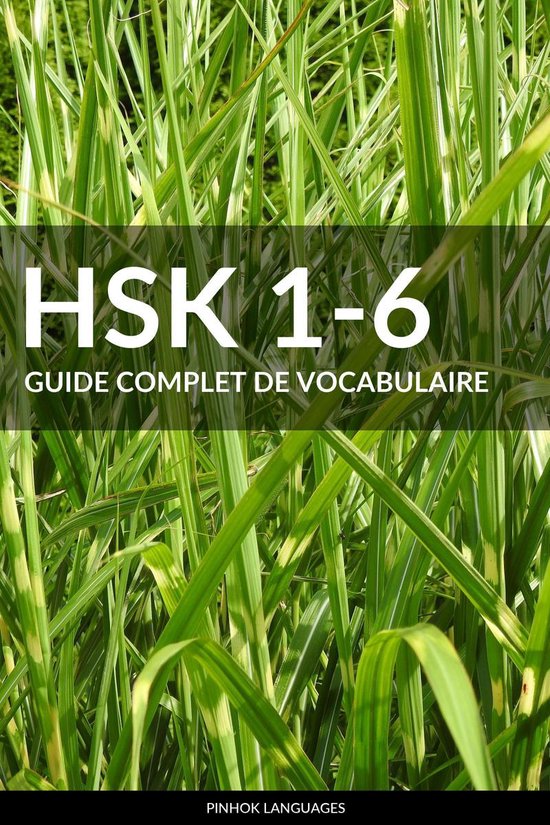HSK Guide Complet De Vocabulaire Ebook Pinhok Languages Boeken Bol Com