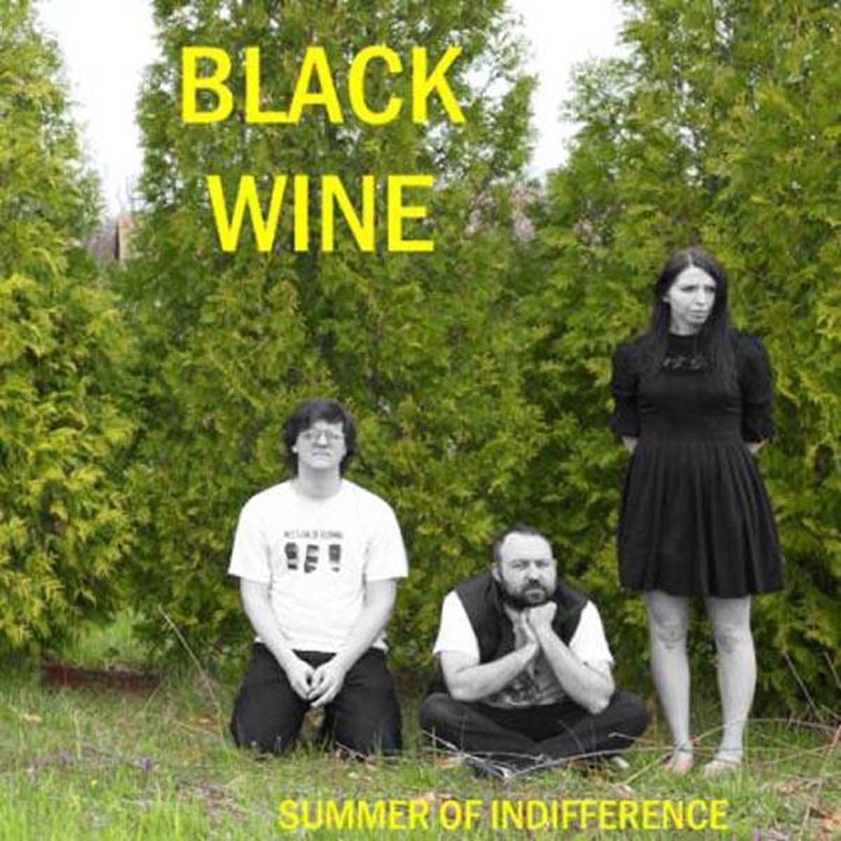 Summer Of Indifference
