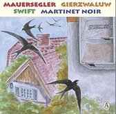 Vogelstimmen, Mauersegler