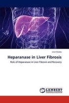 Heparanase in Liver Fibrosis