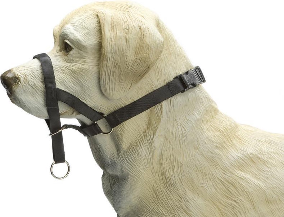 Beeztees Dog Control - Halsband Hond - Zwart - L - Beeztees