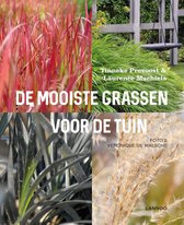 De mooiste grassen voor de tuin