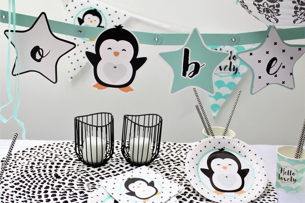 Hello lovely babyshower/gender reveal pakket