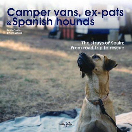 Camper Vans, Ex-Pats And Spanish Hounds