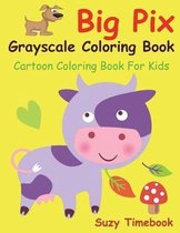 Big Pix Grayscale Coloring Book Cartoon Coloring Book for Kids