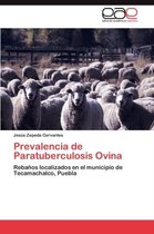 Prevalencia de Paratuberculosis Ovina