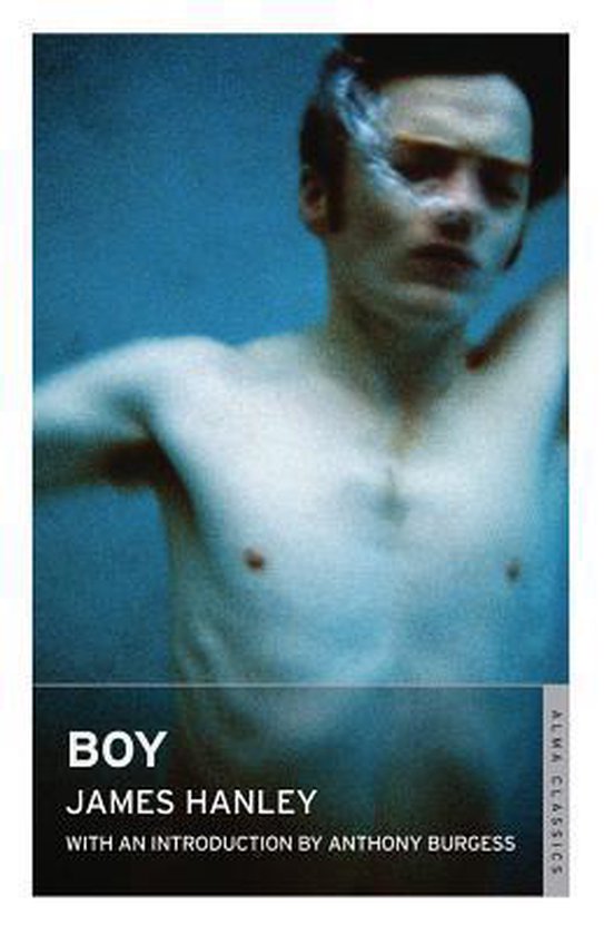 Boy, James Hanley 9781847492647 Boeken
