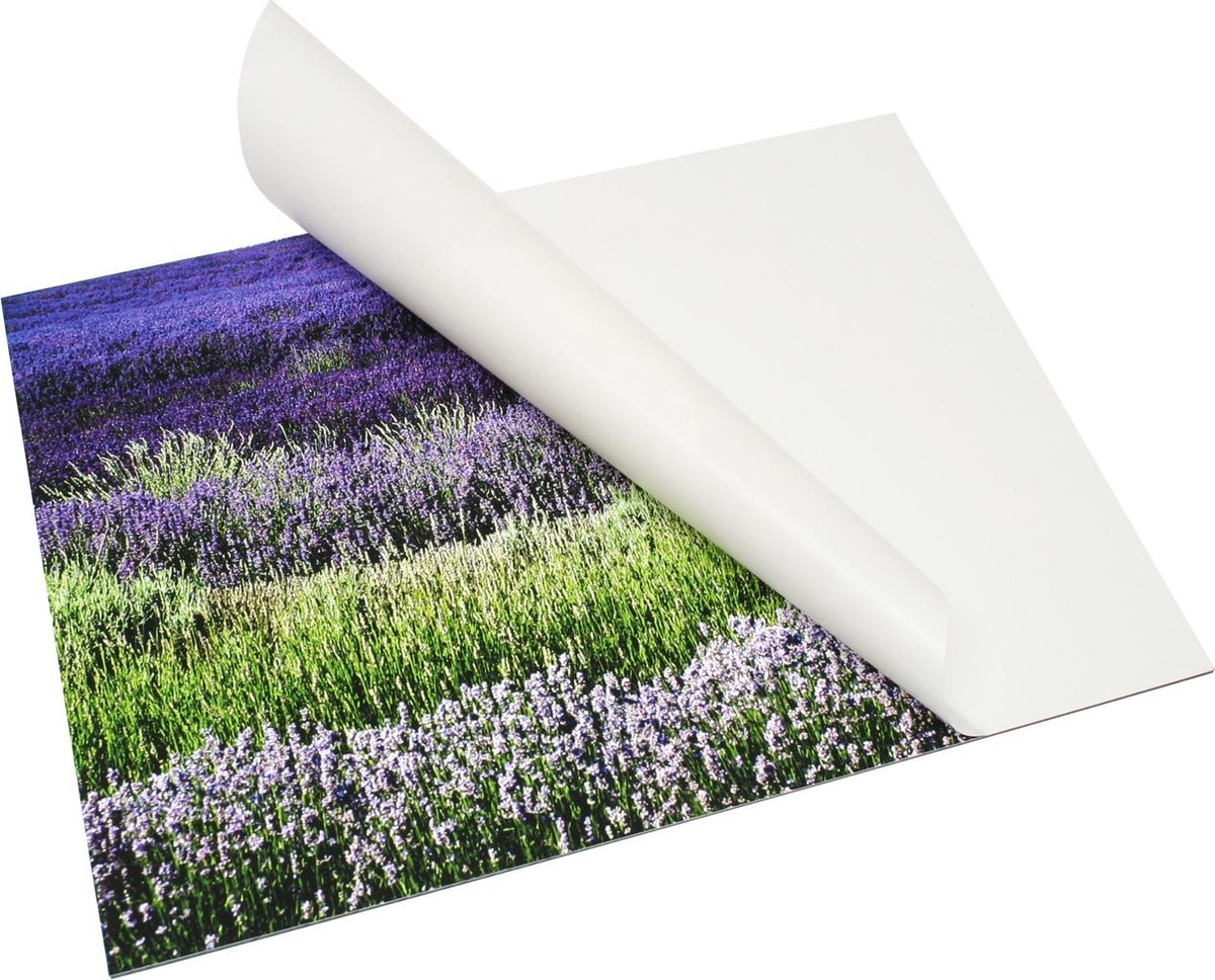 Deknudt Frames zelfklevend DKbond - 3mm - aluminium - foto 60x90 cm wit