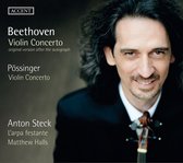 Anton Steck & L'arpa Festante & Matthew H - Violin Concerto (CD)