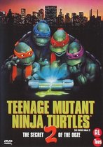 Teenage Mutant Ninja Turtles 2