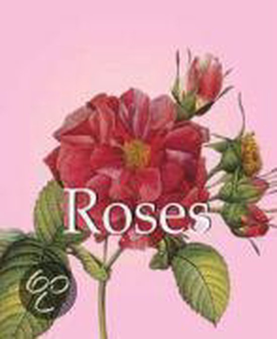 Een rode roos met de tekst "Roses" op een roze achtergrond.
