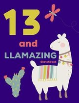 13 and Llamazing Sketchbook