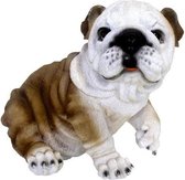Beeldje Engelse bulldog hond 25 cm