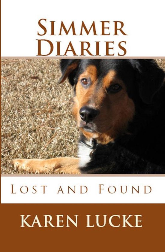 Simmer Diaries - cover