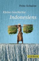Beck Paperback 6213 - Kleine Geschichte Indonesiens