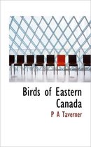 Birds of Eastern Canada