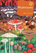 British Wildlife Collection - Mushrooms