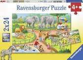 Ravensburger puzzel Een dag in de dierentuin - 2x24 stukjes - kinderpuzzel