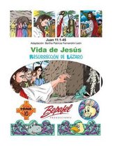 Vida de Jes s-La Resurrecci n de L zaro