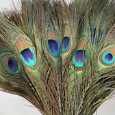 Pauwen veren - Pauwenveren - 50 stuks - 25-30cm - Decoratie - Decoratief beeld of figuur