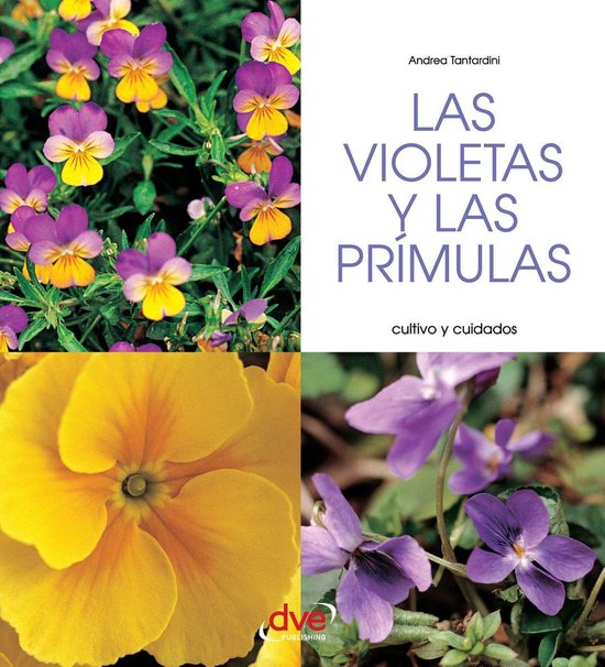 Las violetas y las prímulas - Cultivo y cuidados - cover