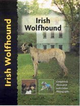 Pet Love Irish Wolfhound