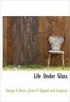 Life Under Glass